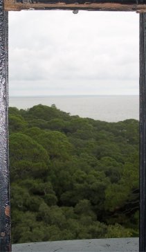 Hunting Island State Park