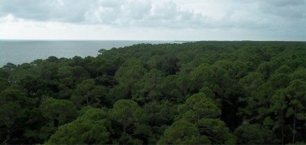 Hunting Island State Park