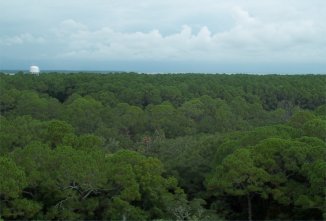 Hunting Island State Park