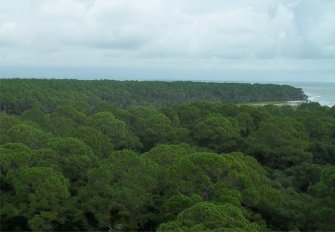 Hunting Island State Park
