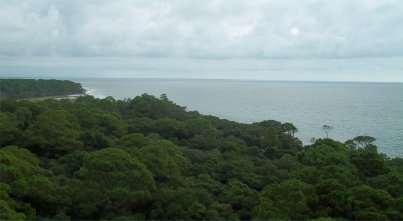 Hunting Island State Park