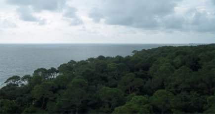 Hunting Island State Park