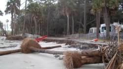 Hunting Island State Park
