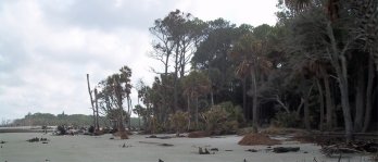 Hunting Island State Park
