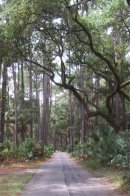Hunting Island State Park