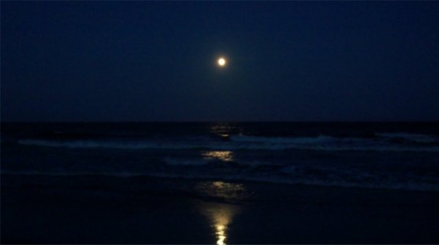 Huntington Beach State Park