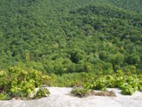 Caesars Head State Parkk