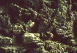 Stumphouse Mountain Tunnel