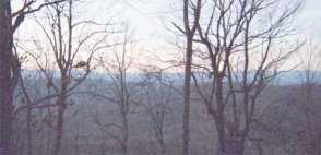 Sassafras Mountain