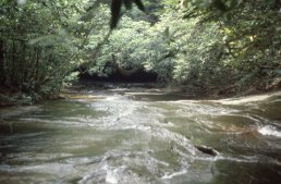 Table Rock State Park