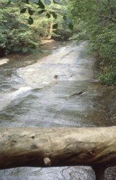 Table Rock State Park